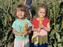 Young corn pickers